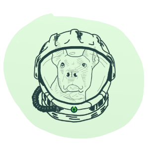 Nuestra mascota con un casco de astronauta.